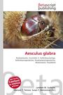 Aesculus glabra, Buch