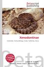 Titel: Xenodontinae. Labels: Colubrid, Snake. Logo oben. Eine zusammengerollte braune Schlange auf Sand.