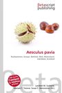 Aesculus pavia, Buch