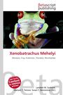 "Xenobatrachus Mehelyi" und beteiligte Autoren, mit einem Frosch mit roten Augen vorne darauf.