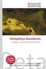 "Xenophrys Auralensis" in roter Schrift, Frosch im Wasser, Betascript-Logo oben, rote runde Marke links.