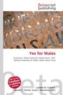 Yes for Wales, Buch