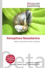 "Xenophora Neozelanica", "Species, Snail, Marine (Ocean), Gastropod"; eine Schnecke auf einem grünen Blatt.