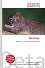 "Xerinae", Untertitel: Subfamily, Chordata, Mammal, Rodent. Ein Nagetier ist darauf abgebildet.