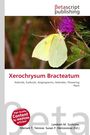 "Xerochrysum Bracteatum" und redaktionelle Namen. Ein Schmetterling auf einer lila Blüte.