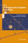 Manfred Böhm: Lie-Gruppen und Lie-Algebren in der Physik, Buch