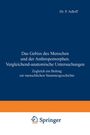 P. Adloff: Das Gebiss des Menschen und der Anthropomorphen. Vergleichend-anatomische Untersuchungen, Buch