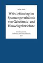 Stefan Abels: Whistleblowing im Spannungsverhältnis von Geheimnis- und Hinweisgeberschutz, Buch