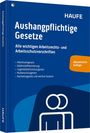 „Aushangpflichtige Gesetze: Alle wichtigen Arbeitsrechts- und Arbeitsschutzvorschriften.“ Blaues Cover, oranger Button.