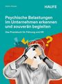 Buchcover: "Psychische Belastungen im Unternehmen erkennen und souverän begleiten". Illustration: Person hält Kopf in den Händen.