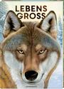 Holger Haag: Lebensgroß, Buch