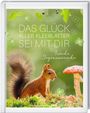 „DAS GLÜCK ALLER KLEEBLÄTTER SEI MIT DIR. Irische Segenswünsche.“ Ein Eichhörnchen neben einem Fliegenpilz.