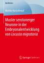Martha Maria Kempf: Muster serotonerger Neurone in der Embryonalentwicklung von Locusta migratoria, Buch