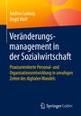 Andrea Ludwig: Veränderungsmanagement in der Sozialwirtschaft, Buch