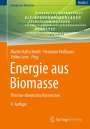 : Energie aus Biomasse, Buch,Buch