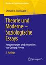 Shmuel N. Eisenstadt: Theorie und Moderne ¿ Soziologische Essays, Buch
