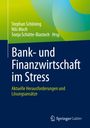: Bank- und Finanzwirtschaft im Stress, Buch