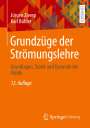 Karl Bühler: Grundzüge der Strömungslehre, Buch