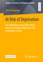 Jonas Bergmann: At Risk of Deprivation, Buch