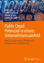 Niklas Feil: Public Cloud Potenzial in einem Unternehmensumfeld, Buch
