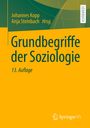 : Grundbegriffe der Soziologie, Buch