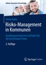 Dieter Hahn: Risiko-Management in Kommunen, Buch