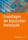 Marcello Righi: Grundlagen der klassischen Aeroelastik, Buch