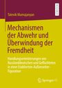 Tatevik Mamajanyan: Mechanismen der Abwehr und Überwindung der Fremdheit, Buch