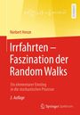 Norbert Henze: Irrfahrten - Faszination der Random Walks, Buch