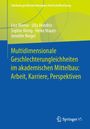 Lisa Mense: Multidimensionale Geschlechterungleichheiten im akademischen Mittelbau: Arbeit, Karriere, Perspektiven, Buch