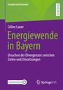 Céline Lauer: Energiewende in Bayern, Buch