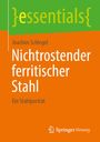 Joachim Schlegel: Nichtrostender ferritischer Stahl, Buch