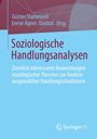 : Soziologische Handlungsanalysen, Buch