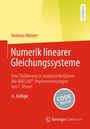 Andreas Meister: Numerik linearer Gleichungssysteme, Buch