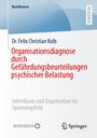 Felix Christian Kolb: Organisationsdiagnose durch Gefährdungsbeurteilungen psychischer Belastung, Buch