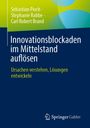 Sebastian Pioch: Innovationsblockaden im Mittelstand auflösen, Buch