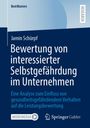 Jamin Schürpf: Bewertung von interessierter Selbstgefährdung im Unternehmen, Buch