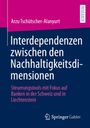 Arzu Tschütscher-Alanyurt: Interdependenzen zwischen den Nachhaltigkeitsdimensionen, Buch