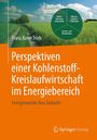 Franz Xaver Trieb: Perspektiven einer Kohlenstoffkreislaufwirtschaft im Energiebereich, Buch