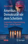 Rainer Eisfeld: Amerikas Demokratie vor dem Scheitern, Buch