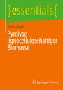 Karim Ghaib: Pyrolyse lignocellulosehaltiger Biomasse, Buch