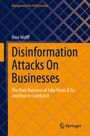 Titel: Disinformation Attacks On Businesses. Ein Buchcover in Orange und Blau mit geometrischem Muster. Logo von Springer.