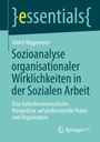 André Niggemeier: Sozioanalyse organisationaler Wirklichkeiten in der Sozialen Arbeit, Buch