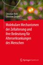 Christian Behl: Molekulare Mechanismen der Zellalterung und ihre Bedeutung für Alterserkrankungen des Menschen, Buch