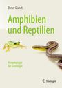 Dieter Glandt: Amphibien und Reptilien, Buch