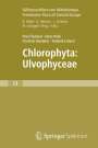 Pavel ¿Kaloud: Freshwater Flora of Central Europe, Vol 13: Chlorophyta: Ulvophyceae (Süßwasserflora von Mitteleuropa, Bd. 13: Chlorophyta: Ulvophyceae), Buch