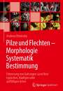 Andreas Bresinsky: Pilze und Flechten ¿ Morphologie, Systematik, Bestimmung, Buch