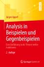 Jürgen Appell: Analysis in Beispielen und Gegenbeispielen, Buch