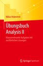 Niklas Hebestreit: Übungsbuch Analysis II, Buch