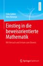 Alex Küronya: Einstieg in die beweisorientierte Mathematik, Buch